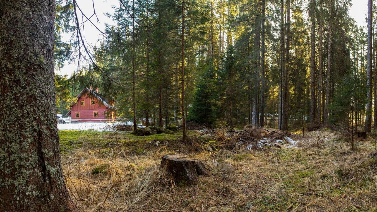Goreljek Digital Detox Chalet Pokljuka מראה חיצוני תמונה