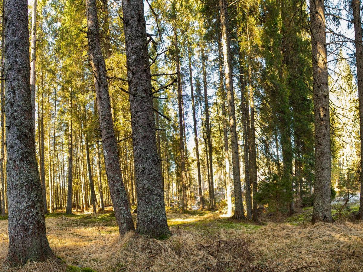 Goreljek Digital Detox Chalet Pokljuka מראה חיצוני תמונה